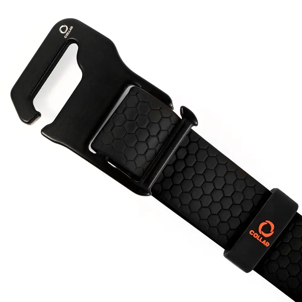 Miniatura: Collar Evolutor Waudog
