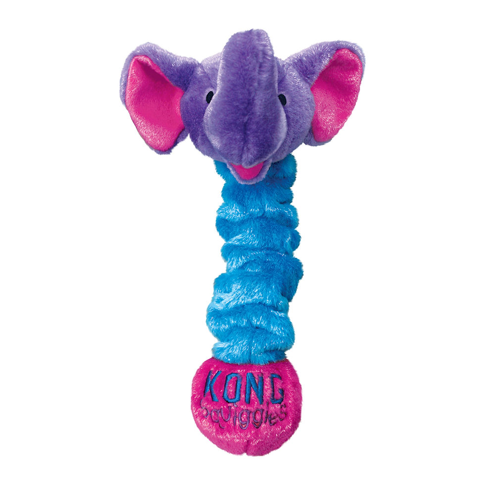 Miniatura: Squiggles Kong