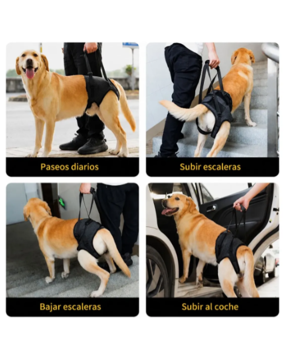 Miniatura: Arnes Para Perros De Soporte Con Apertura Y Agarre XL