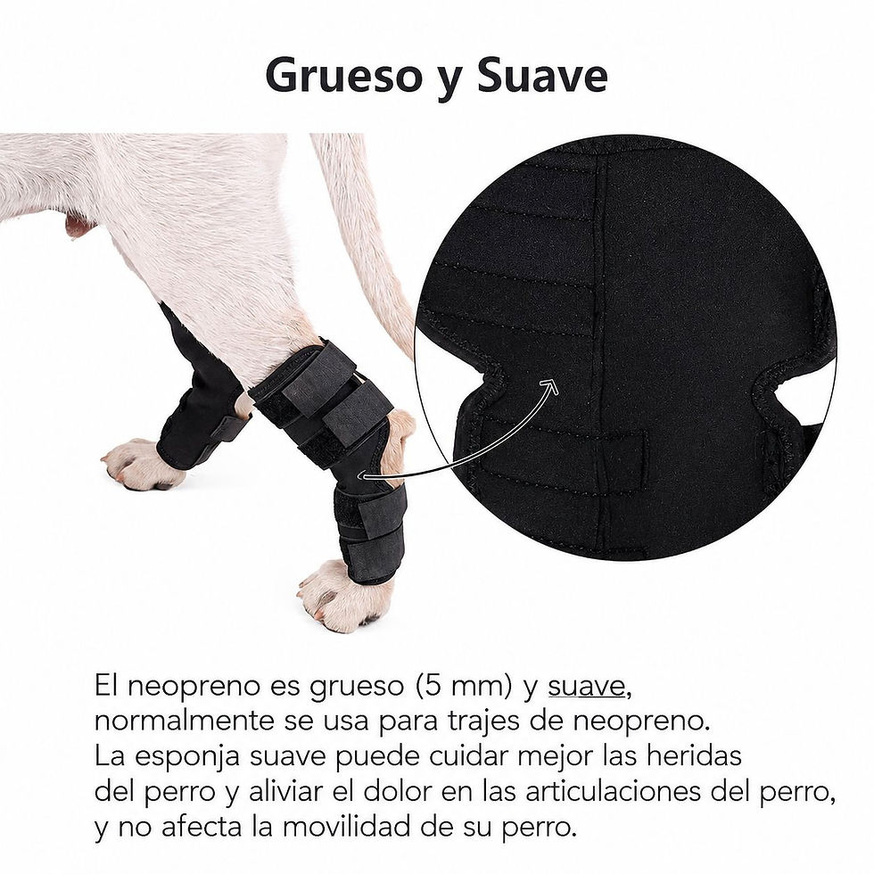Miniatura: Rodilleras Para Perros Cirugía Y Protección Articular