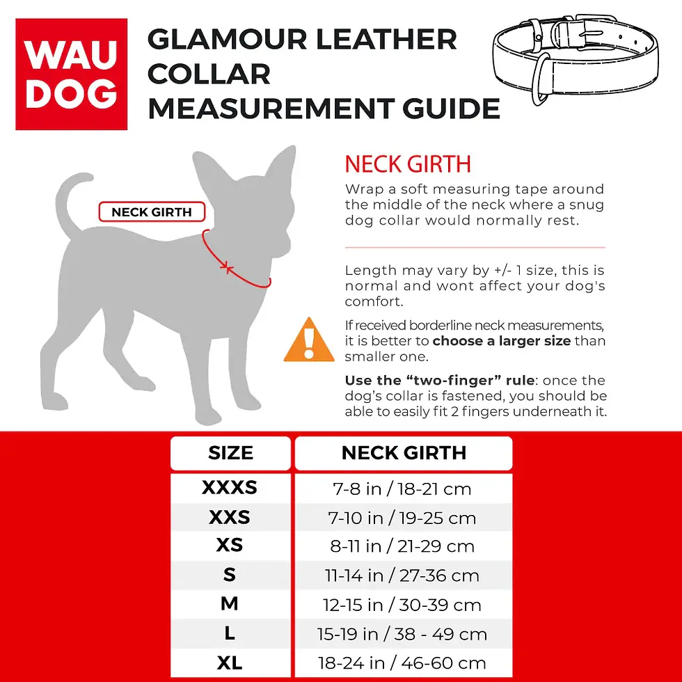 Miniatura: Collar Design Waudog