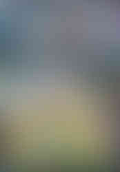 20251114_161113.jpg