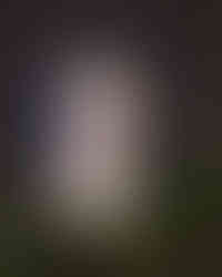 20251114_162047.jpg