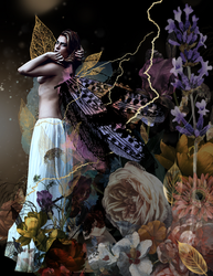 My project (1).png