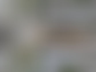 Tramway de Caen : l’expertise d’Arpanum au service des fouilles archéologiques