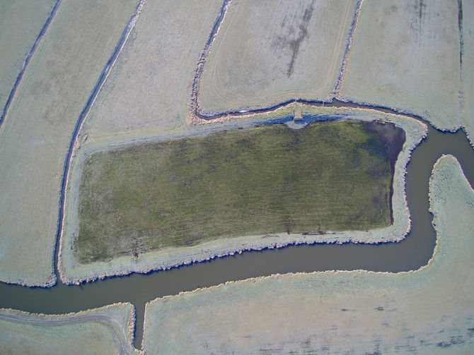 Les marais de Monfréville (Calvados)