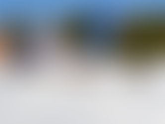 Three spots available!