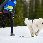 Nyhet för i år – Sprint för alla! 🐾