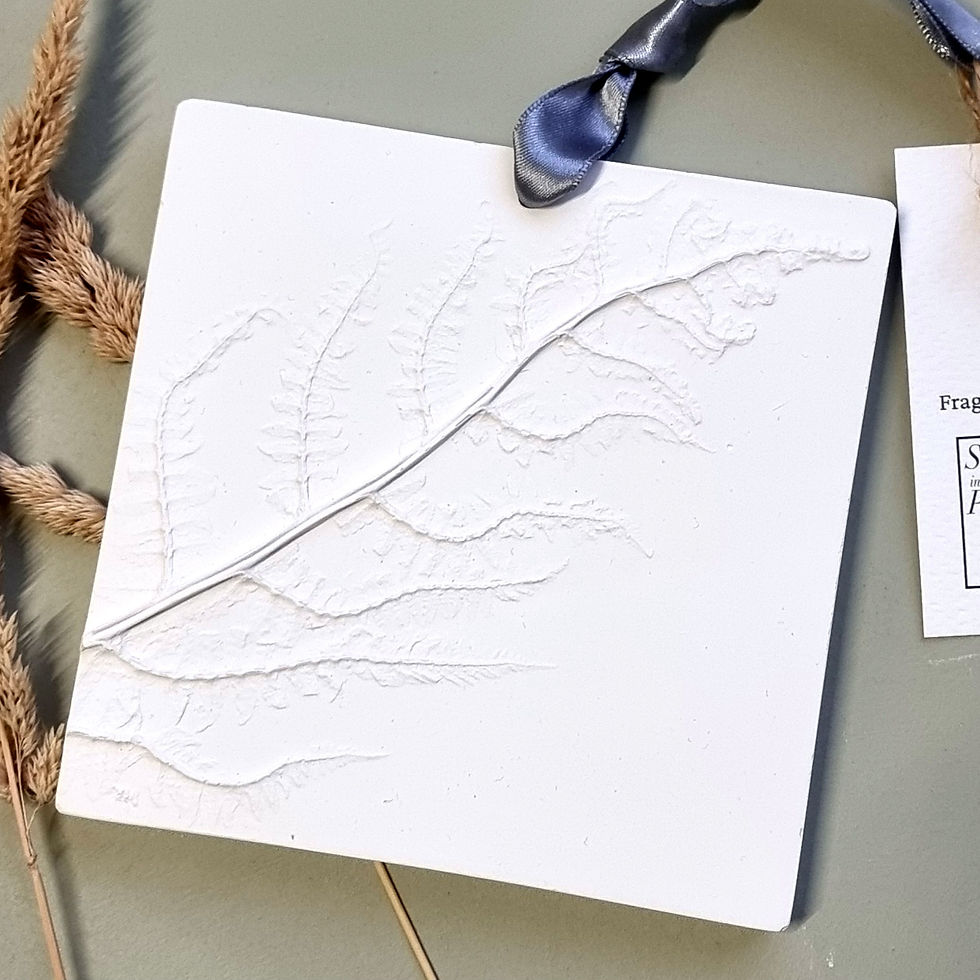 Thumbnail: Wild Flower Large Fragrance Diffusers