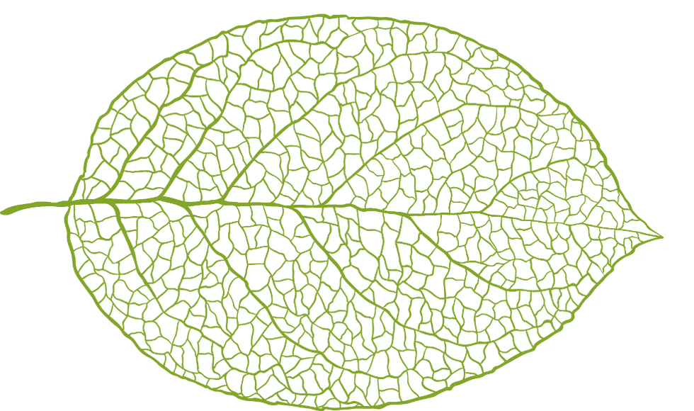 Blatt.png
