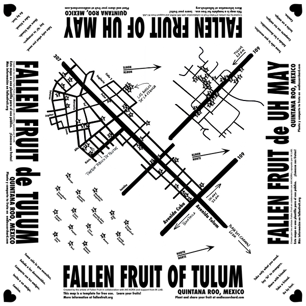 COMBO_AKIAORA_map_final (1).png