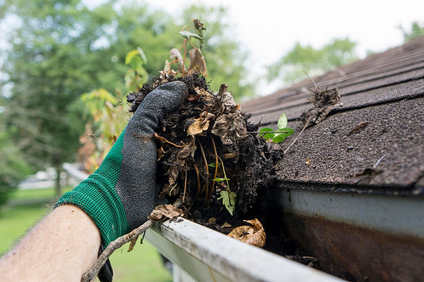 gutter cleaning.jpg
