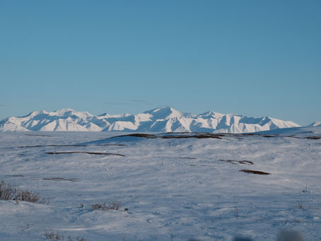 Field Notes from Toolik Lake