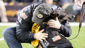 Unleashing Healing: The Impact of Pet Therapy for Veterans 