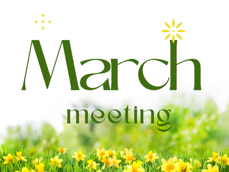 March Village Board Meeting