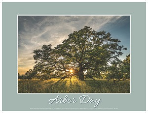 Commemorate Arbor Day while social distancing
