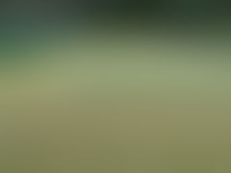 中学生女子ソフトテニス団体戦中信大会リーグ