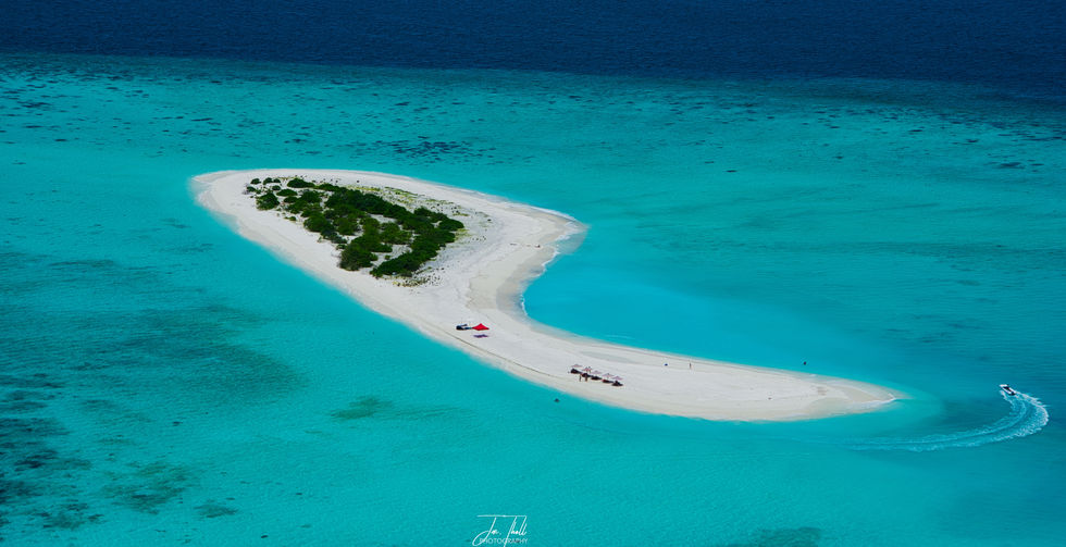 sandbank picnic