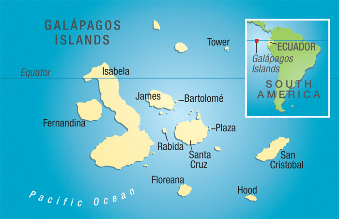 Gateway to Galapagos