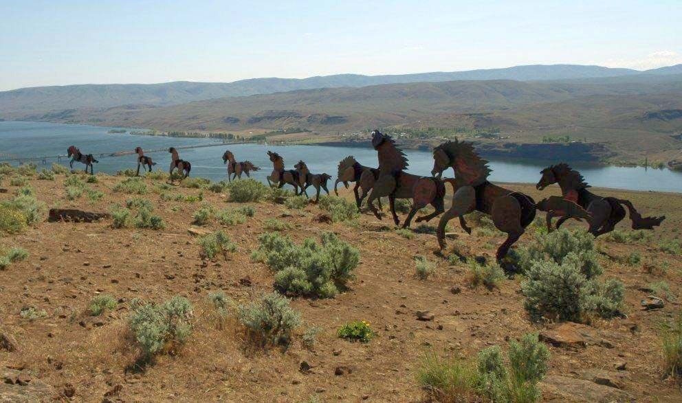 Grandfather Cuts Loose the Ponies
