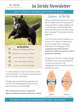 arthritis pic.jpg