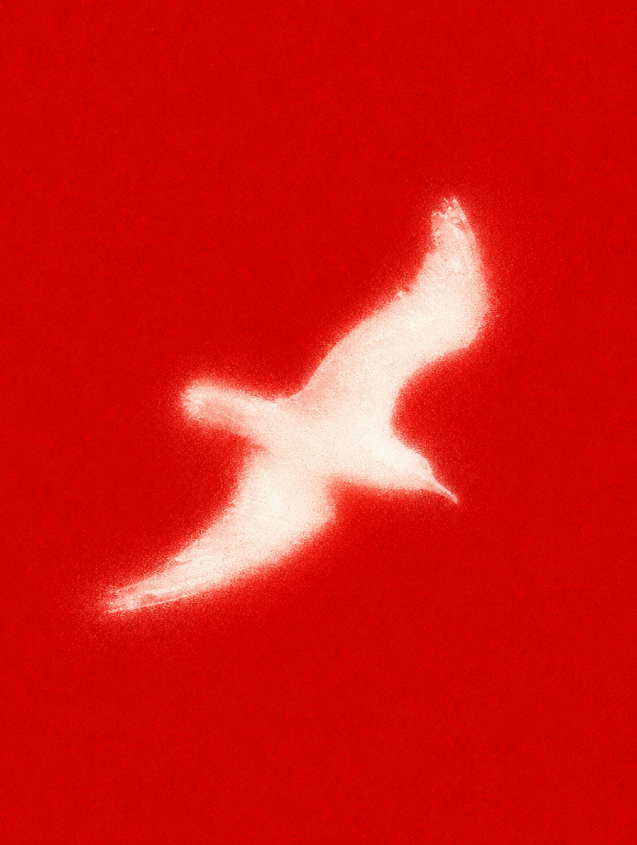 Untitled.png