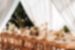 Sperry Drape Lighting