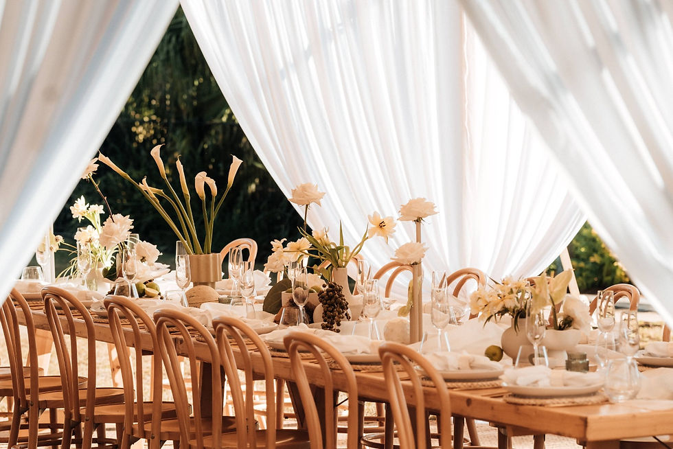 Sperry Drape Lighting