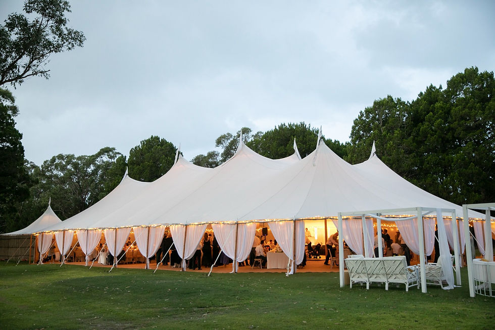 Drapped Grand Sperry