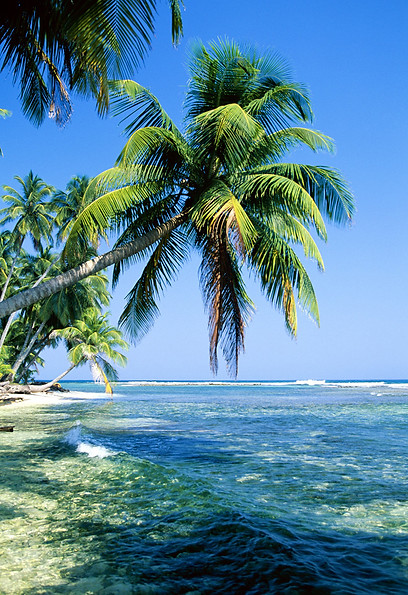 Tropische Insel