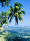 Île tropicale