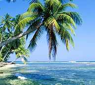 Île tropicale