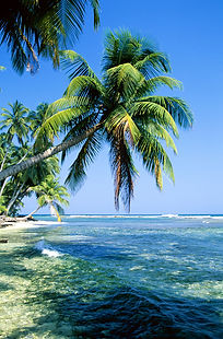 Tropical Island