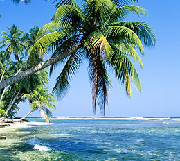 Tropical Island