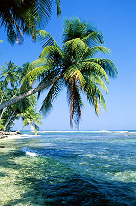 Tropical Island