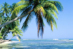 Secluded Bucerias,Mexico Beach