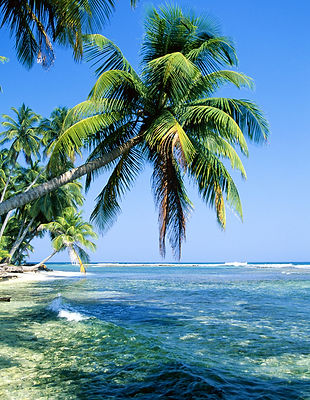 Île tropicale