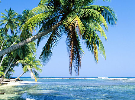 Tropical Island