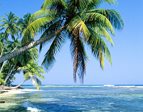 Tropical Island