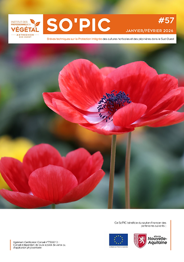 So'PIC N°57 - Janv.-Fev. 2026.png