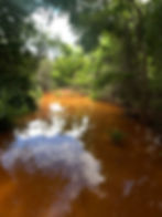 IMG_1220.jpeg