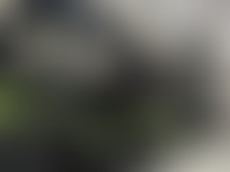 Best Material For Outdoor Planters