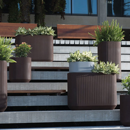 Best Self-Watering Planters