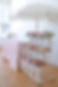 DSCF8302.JPG