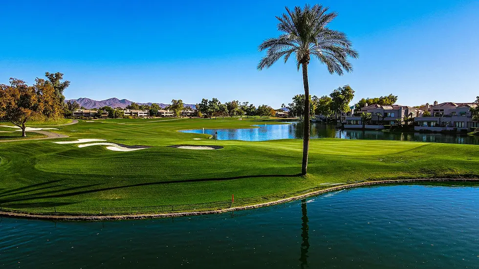 High angle view of a tranquil outdoor space designed for relaxation and wellness