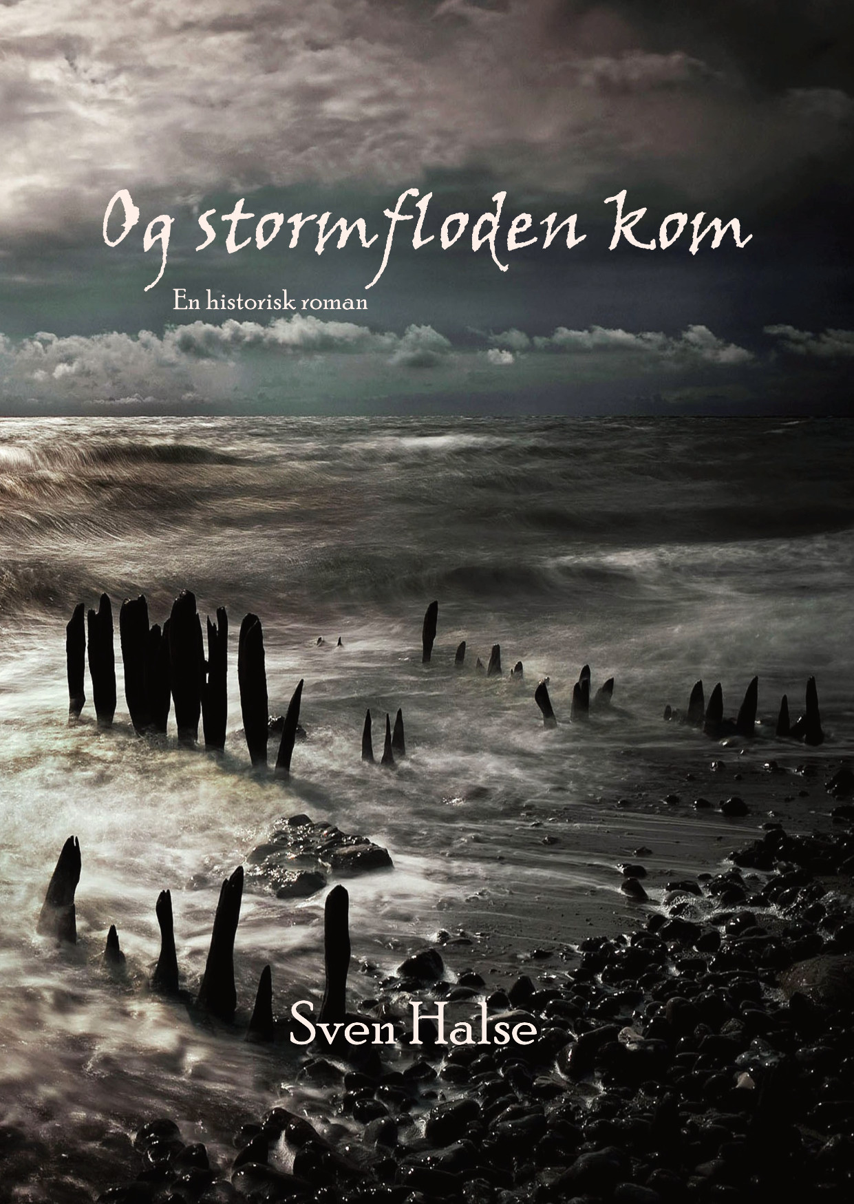 Og stormfloden kom - en historisk roman