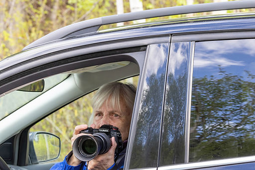 Anne - bird from car-.jpg