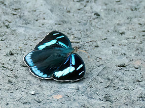 _1700842-DeNoiseAI-low-light.jpg