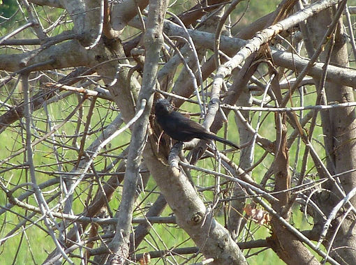 P1020702_edited.jpg