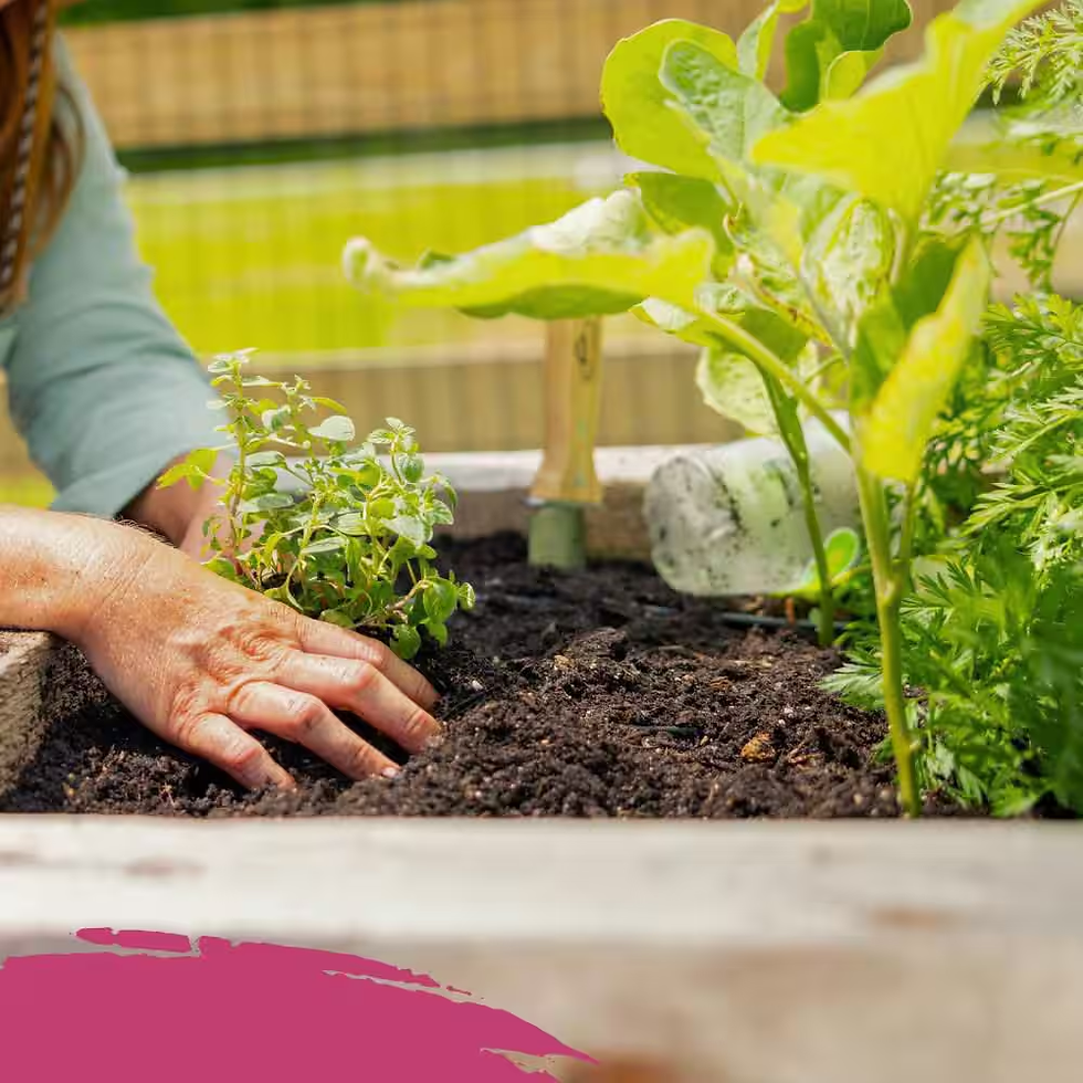 Thumbnail: Organic Raised Bed and Potting Mix, All Natural Premium Soil 2 Cu. Ft., OMRI Lis